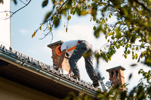 Sealant for Roof in Pawnee, IL