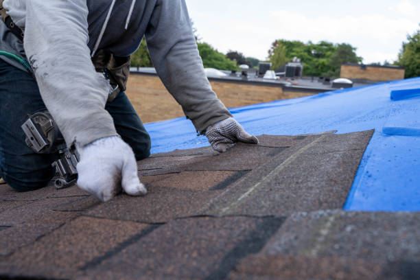 Best Roof Leak Repair  in Pawnee, IL