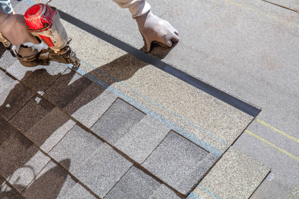 Best Roof Waterproofing Services  in Pawnee, IL